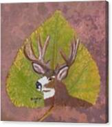 Big Mule Deer Buck Canvas Print