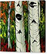 Birch Tree's Of Autumn #17 Canvas Print