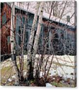 Birch Trees With Antique Barn, Winter Dusk At Camp Nyoda 1988 Canvas Print