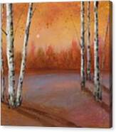 Birches In The Fall Canvas Print