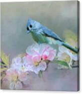 Bird And Blossoms Canvas Print