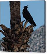 Bird In A Palm Tree Canvas Print