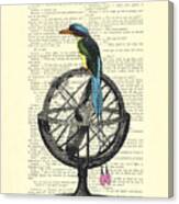 Colorful Bird Of Paradise Sitting On Globe Canvas Print