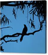 Bird On A Bough Canvas Print