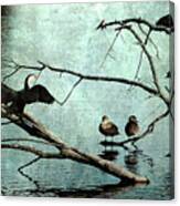 Bird Perch Canvas Print