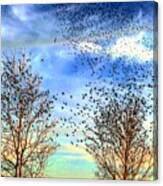 Bird Swarm Versus Hawks Canvas Print