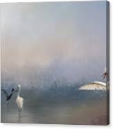 Birds And Sea Canvas Print