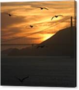 Birds By The Bay Canvas Print