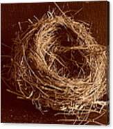 Bird's Nest Sepia Canvas Print