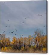 Birds Upon The Sky Canvas Print