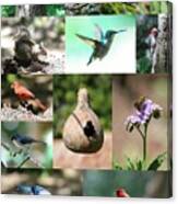 Birdsong Nature Center Collage Canvas Print