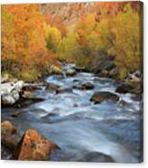 Bishop Creek Fall Season Canvas Print