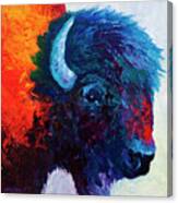 Bison Head Color Study I Canvas Print