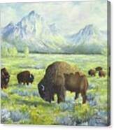 Bison Of Yellowstone Canvas Print