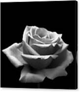 Black And White Rose Canvas Print