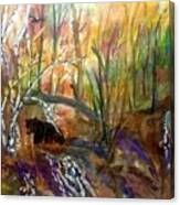 Black Bear In Autumn Woods Canvas Print