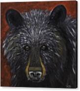 Black Bear Portrait Original Acylic Painting Canvas Print