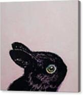 Black Bunny Canvas Print