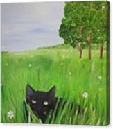 Black Cat In A Meadow Canvas Print