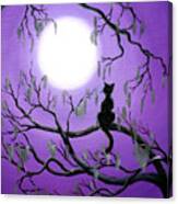 Black Cat In Mossy Tree Canvas Print