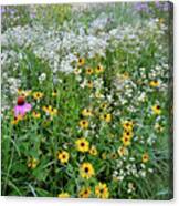 Black Eyed Susans And Company Canvas Print