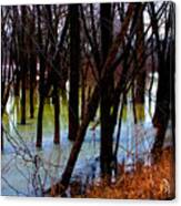 Black  Forest - Image 4605 Canvas Print