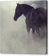 Black Horse In The Dark Mist Canvas Print