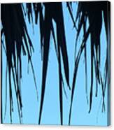 Black Palms On Blue Sky Canvas Print