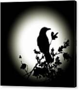 Blackbird In Silhouette Canvas Print