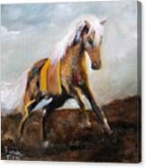 Blanket The War Pony Canvas Print