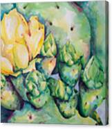 Blooming Cactus Canvas Print