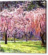 Blossom Fantasy Canvas Print