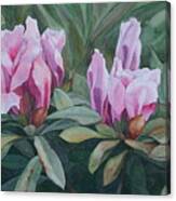 Blossoming Trio Canvas Print
