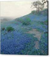 Blue Bonnet Field Early Morning San Antonio Texa Canvas Print