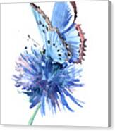 Blue Butterfly And Blue Flower Canvas Print