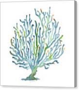 Blue Coral Canvas Print