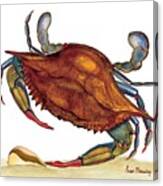 Blue Crab Canvas Print