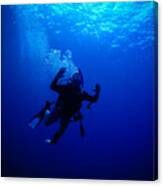 Blue Diver Canvas Print