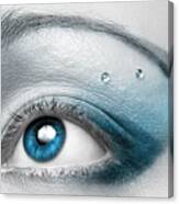 Blue Eye With Artistic Make-up Art Print Canvas Print