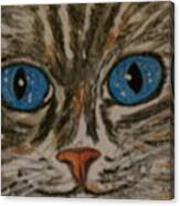 Blue Eyed Tiger Cat Canvas Print