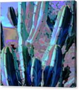 Blue Flame Cactus Moonglow Canvas Print