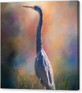 Blue Heron In The Marsh Canvas Print