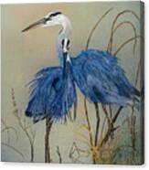 Blue Heron Pair Canvas Print
