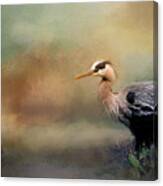 Blue Heron With Texture Canvas Print