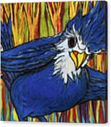 Blue Jay Artist Canvas Print