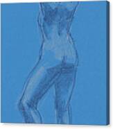 Blue Canvas Print