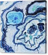 Blue Lace Agate I Canvas Print