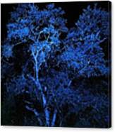 Blue Magic Canvas Print