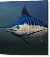 Blue Marlin Canvas Print