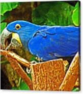 Blue Parrot On Stump Canvas Print
